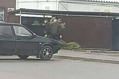 В Волгограде в апреле выбросили новогоднюю елку