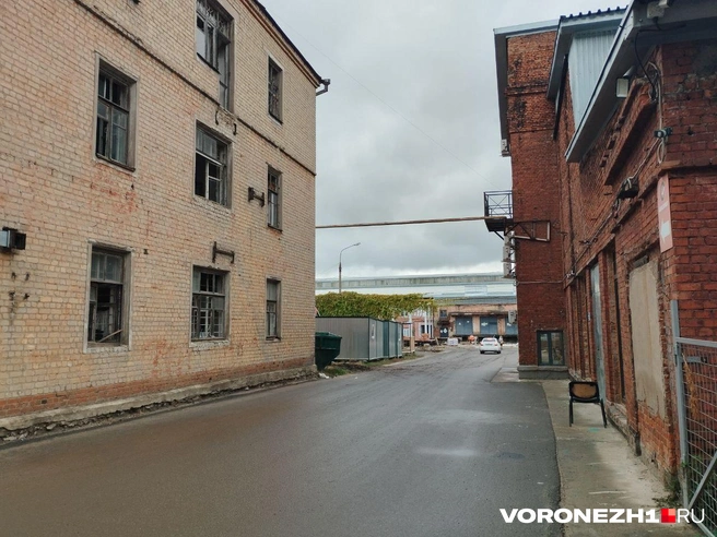 Источник: Дмитрий Волгин / Voronezh1.ru