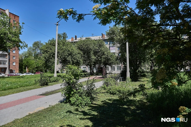 Кроме пары лавочек и самого памятника в сквере ничего нет | Источник: Александр Ощепков / NGS.RU