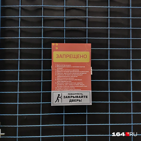 Источник: Сергей Гендин / 164.RU