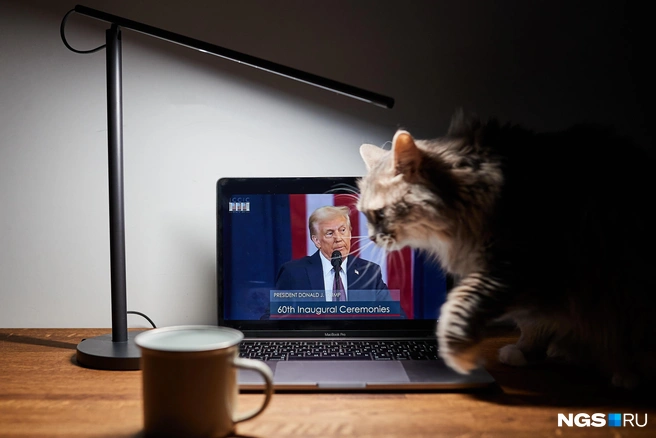 Трамп нравится американцам все меньше? Смотрим результаты опроса | Источник: Александр Ощепков / NGS.RU
