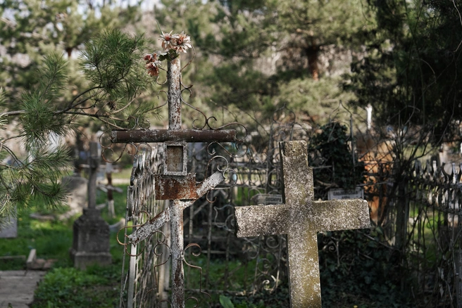 Тулячка обнаружила, что в могиле ее бабушки лежит чужое тело | Источник: Дарья Паращенко / 93.RU