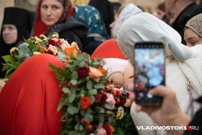 Источник: Елена Буйвол / VLADIVOSTOK1.RU