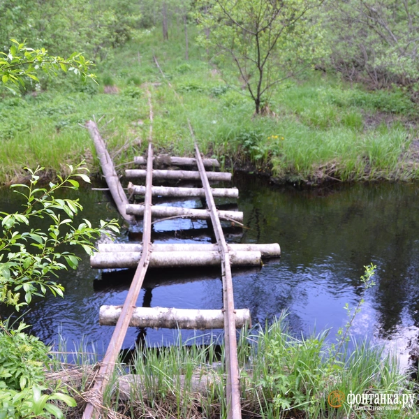 Источник: Предоставлено Максимом Шашковым