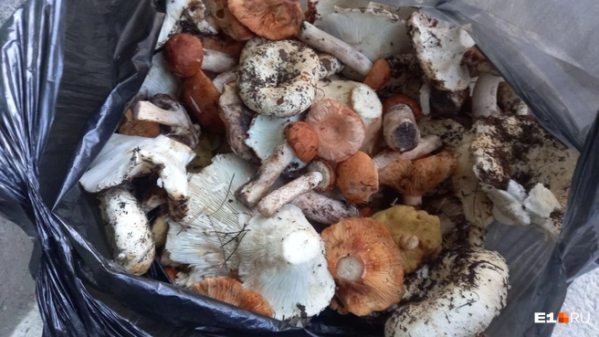 Источник: читатель E1.RU