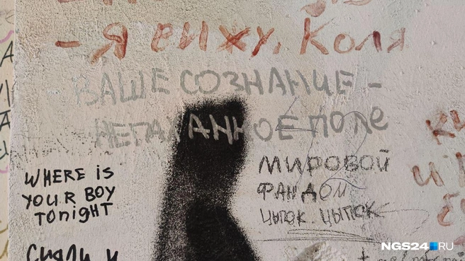 «Ваше сознание — непаханое поле» | Источник: Полина Бородкина / NGS24.RU