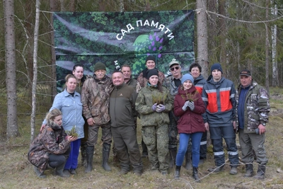 В Плюсском лесничестве высадили 8,5 тыс. сосен в «Саду памяти»