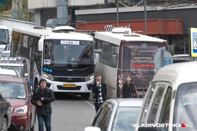 Источник: Елена Буйвол / VLADIVOSTOK1.RU