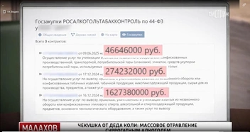 Андрей Малахов показал данные о выделении средств на борьбу с суррогатом