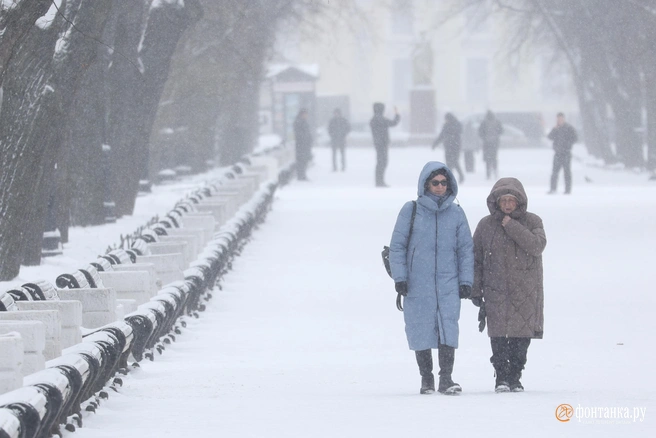 К концу декабря световой день снова увеличится и продолжит расти | Источник: Сергей Михайличенко / FONTANKA.RU