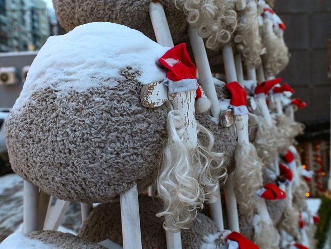 Источник: Дмитрий Емельянов / E1.RU