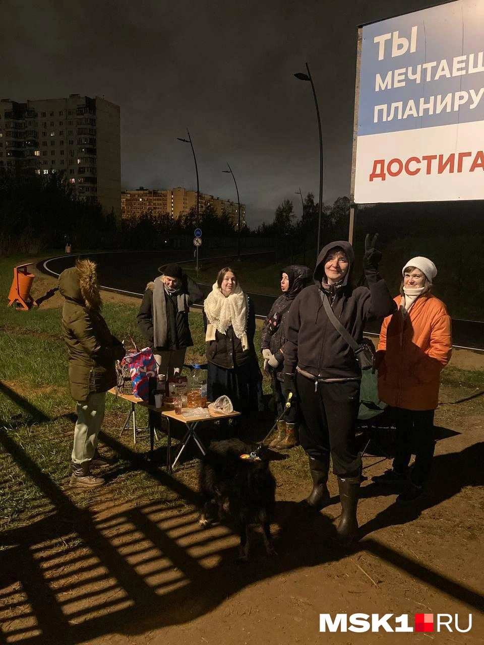 Источник: активисты / MSK1.RU