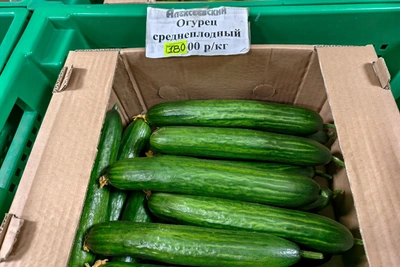 Огурцы подорожали: какие продукты изменились в цене за неделю
