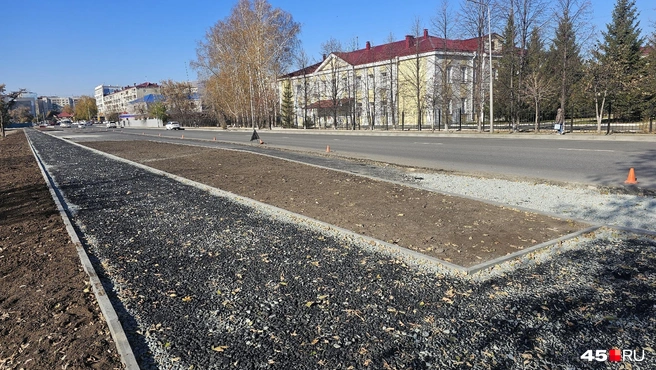 Возле дороги сделаны газоны | Источник: Дарья Никитченко / 45.RU
