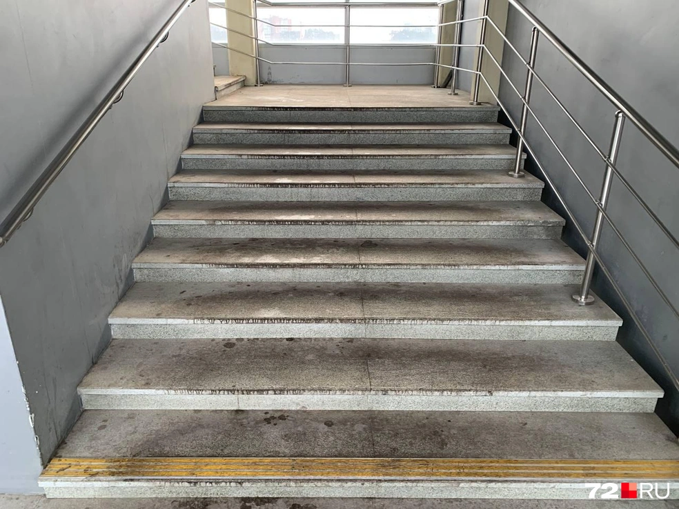 Источник: Никита Кифорук / 72.RU