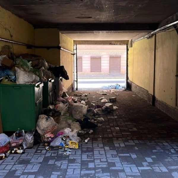 Источник: Центральный район за комфортную среду обитания / Вконтакте