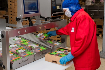 Флагман агропрома Пензы нарастил экспорт индейки на 25%