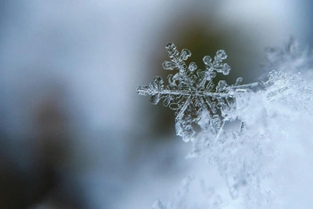 Тест: Какой вы декабрьский ритм?