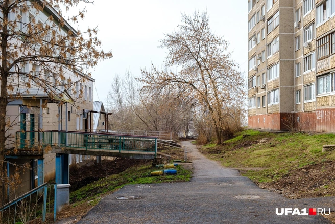 Тропинка не очень приветливая | Источник: Булат Салихов / UFA1.RU