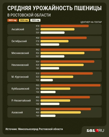 Источник: Мария Романова / 161.RU