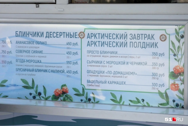 Источник: Дмитрий Артёменко / 51.RU