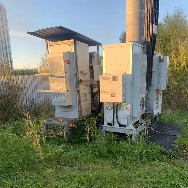 Источник: ГУ МВД РФ по Санкт-Петербургу и Ленобласти