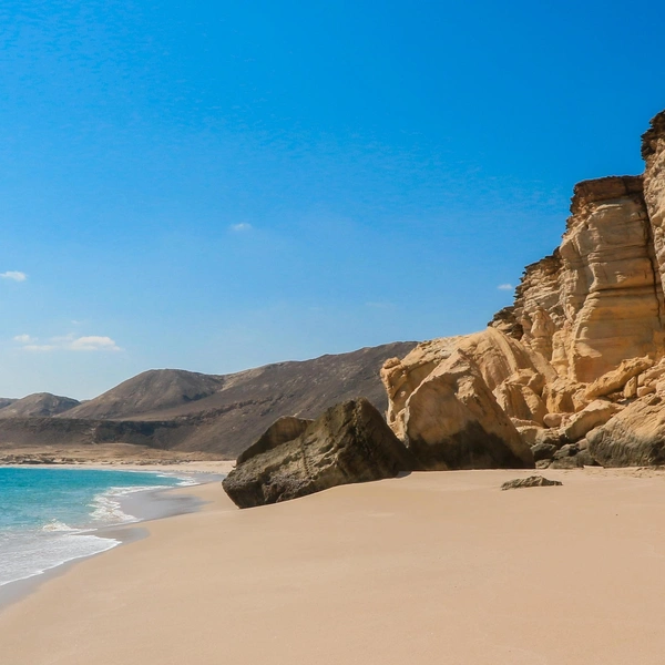 Источник: Dave Primov/Shutterstock/Fotodom.ru