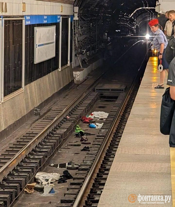 Детская коляска упала на рельсы в метро. Движение по синей ветке в сторону «Парнаса» парализовано | Источник: читатель «Фонтанки»