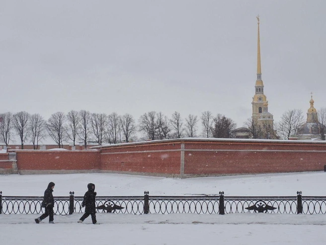 Антициклон принёс в Петербург холод и высокое давление | Источник: Михаил Огнев / «Фонтанка.ру»