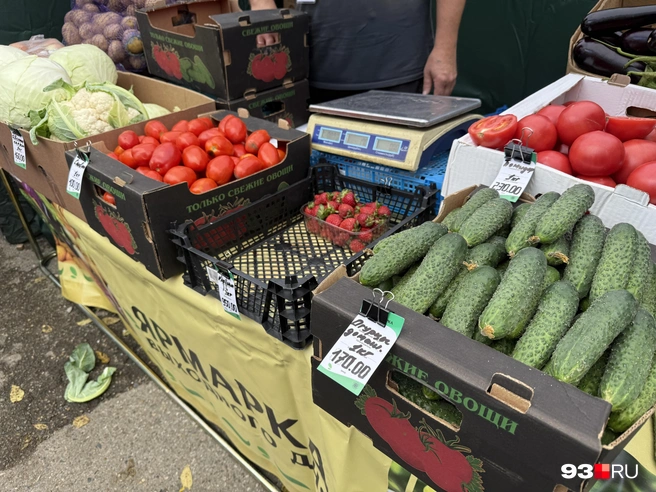 Цены везде разные | Источник: Валерия Дульская / 93.RU