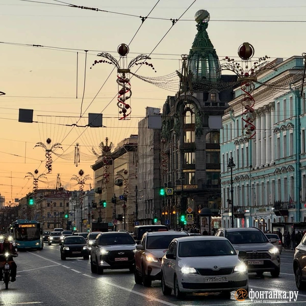 Источник: Марина Мамонтова / FONTANKA.RU