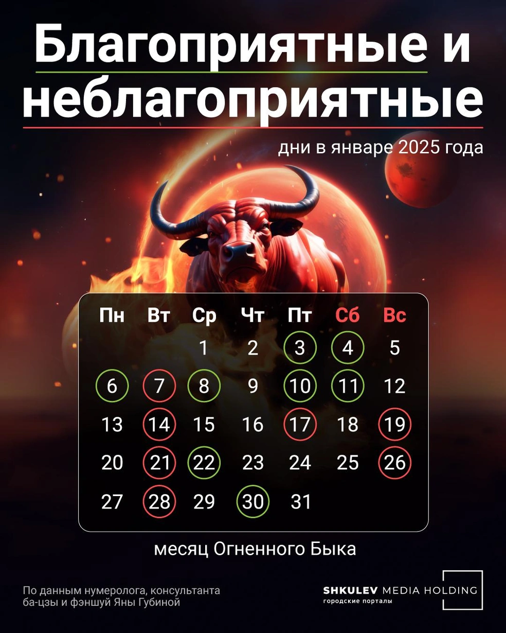 Источник: Полина Авдошина / Городские порталы