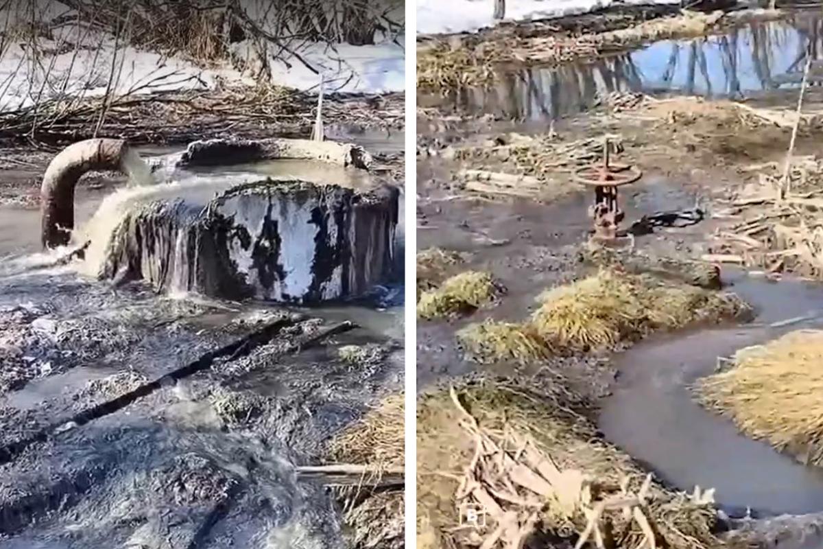 Под Архангельском из-под земли течет вода. Власти поселка Талаги рассказали, что это за труба