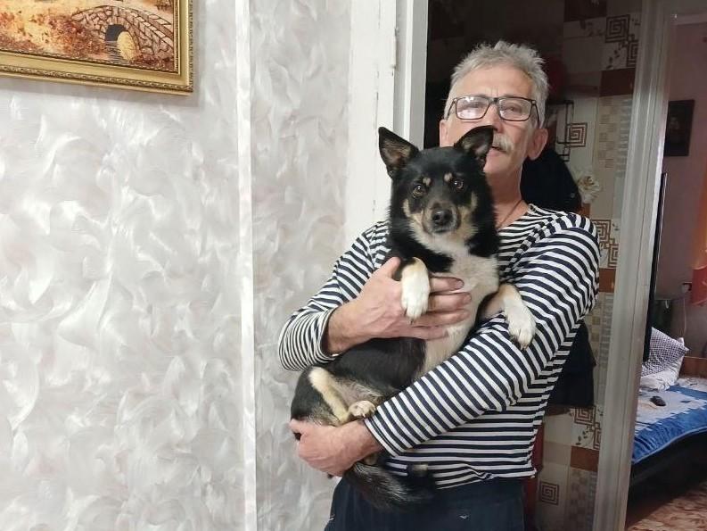 «Назовем так же, других вариантов нет»: семья пенсионеров из Прикамья ищет пса, похожего на их погибшего питомца