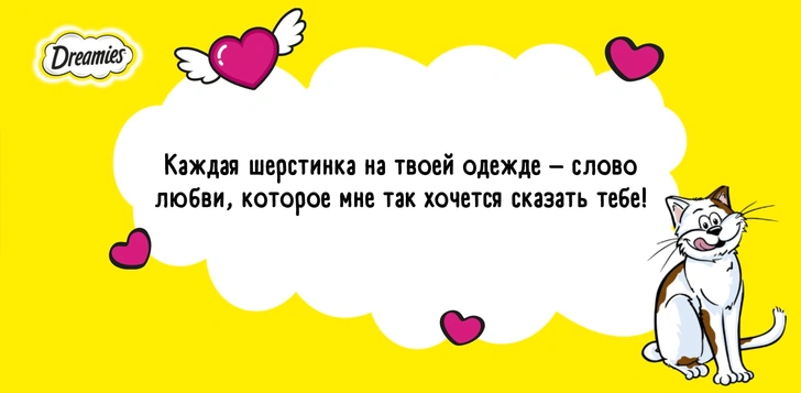 Получи валентинку от котика! Самый замечательный способ отметить День влюбленных