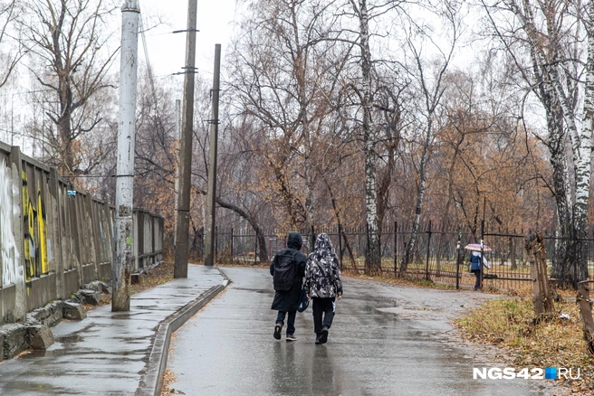 Минобразования заявляет, что мальчики подрались | Источник: Александр Ощепков / NGS.RU