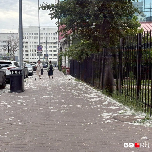 Пух на тротуаре на улице Пермской  | Источник: читательница 59.RU
