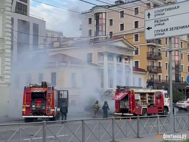 Каршеринг вспыхнул на набережной Адмирала Лазарева в Петербурге: фото, видео | Источник: читатель «Фонтанки»