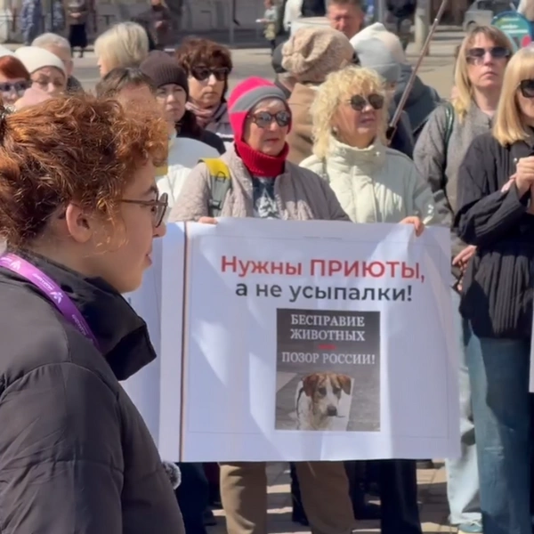 Источник: Питомник К-9 / MAX