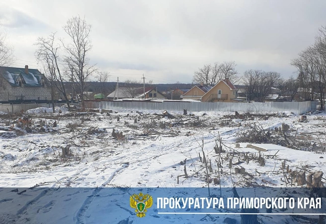 Стройка в селе Вольно-Надеждинском | Источник: прокуратура Приморского края