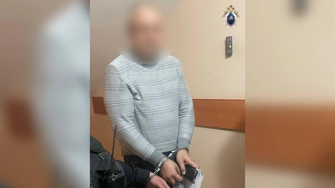 Мужчине грозит гигантский штраф и лишение свободы | Источник: Следком Башкирии