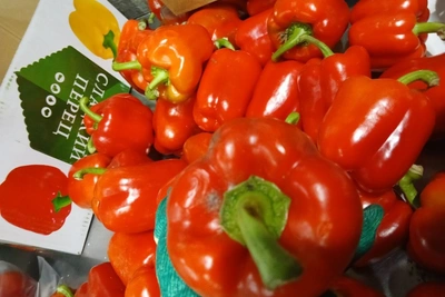 В Забайкалье остановлен ввоз перца с карантинным вредителем