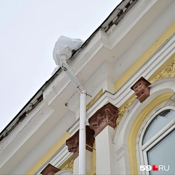 Источник: Василина Любимова / 59.RU