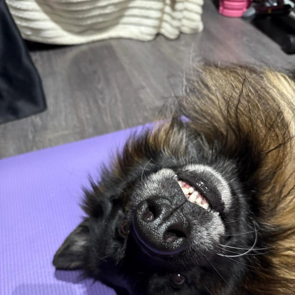 Источник: Татьяна Чивотина