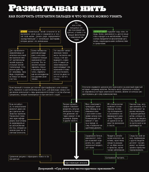Дело с отпечатками: что могут рассказать о человеке следы его пальцев
