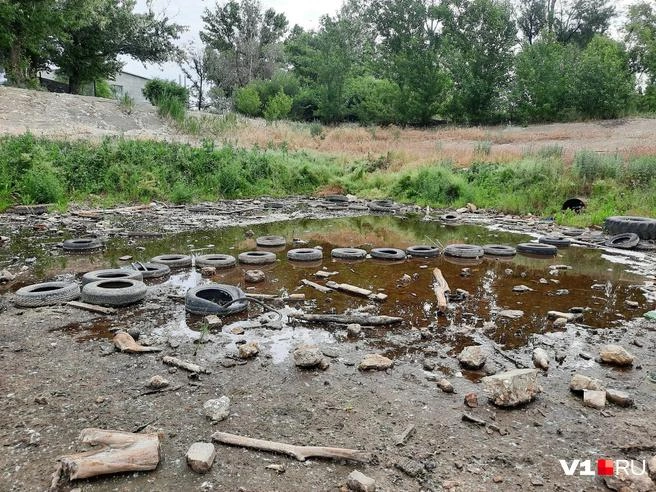 Когда-то здесь плескалась вода, сейчас — старые покрышки, камни и обломки деревьев | Источник: Арина Рязанова / V1.RU