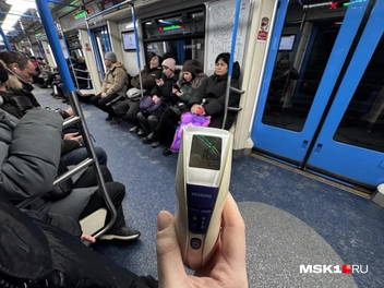 На фиолетовой ветке термометр показал +16 °С | Источник: Алина Мельникова / MSK1.RU