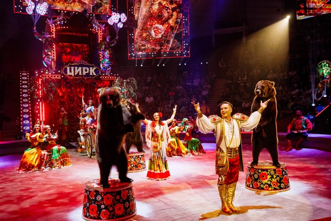 Работа с питомцами строится в цирке на любви, игре, ласке, похвале и лакомствах | Источник: «Королевский цирк»