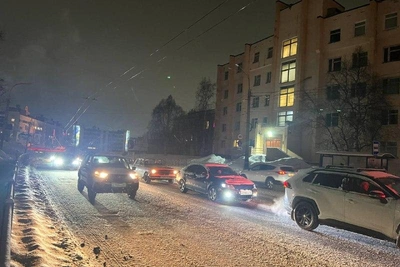 Чибис: удалось избежать разморозки сотни домов