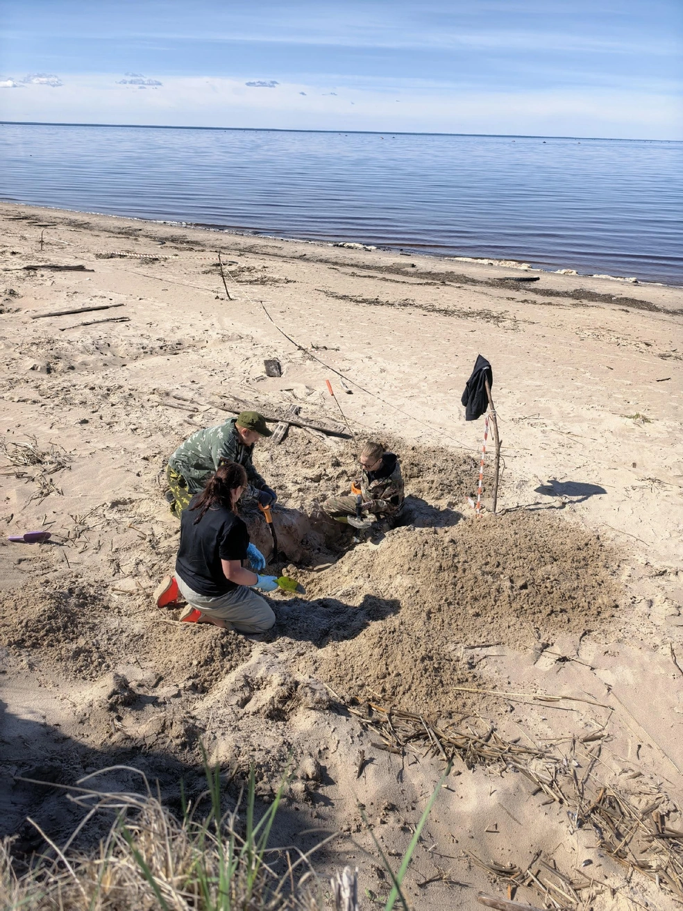 Тела выкапывали буквально возле самого Белого моря | Источник: Поисковое движение России Архангельск
